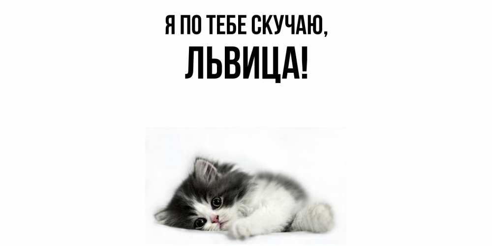 Открытка  для любимых и родных. львица, Я по тебе скучаю  