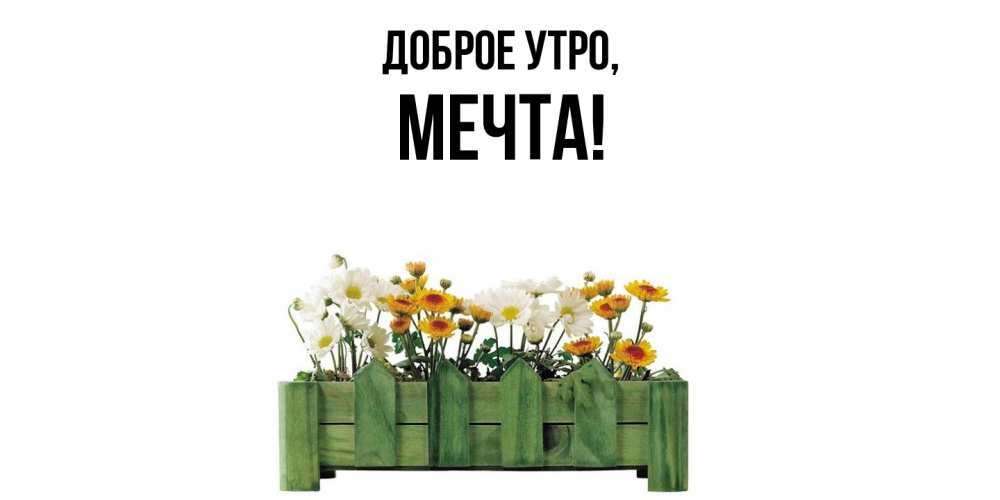 Открытка  для любимых и родных. мечта, Доброе утро  