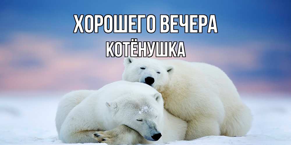 Открытка с именем, котёнушка, Хорошего вечера