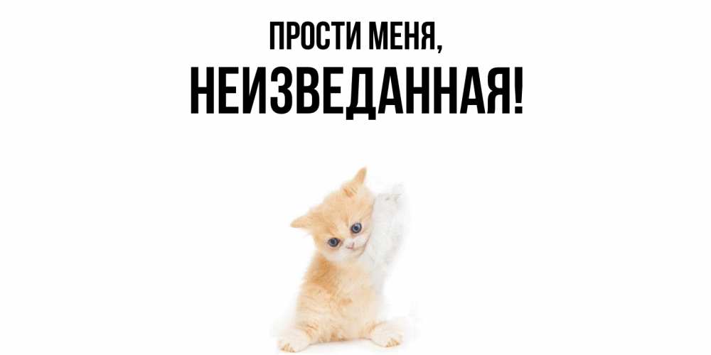 Открытка  для любимых и родных. неизведанная, Прости меня  