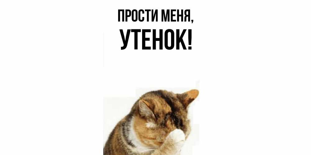 Открытка  для любимых и родных. утенок, Прости меня  