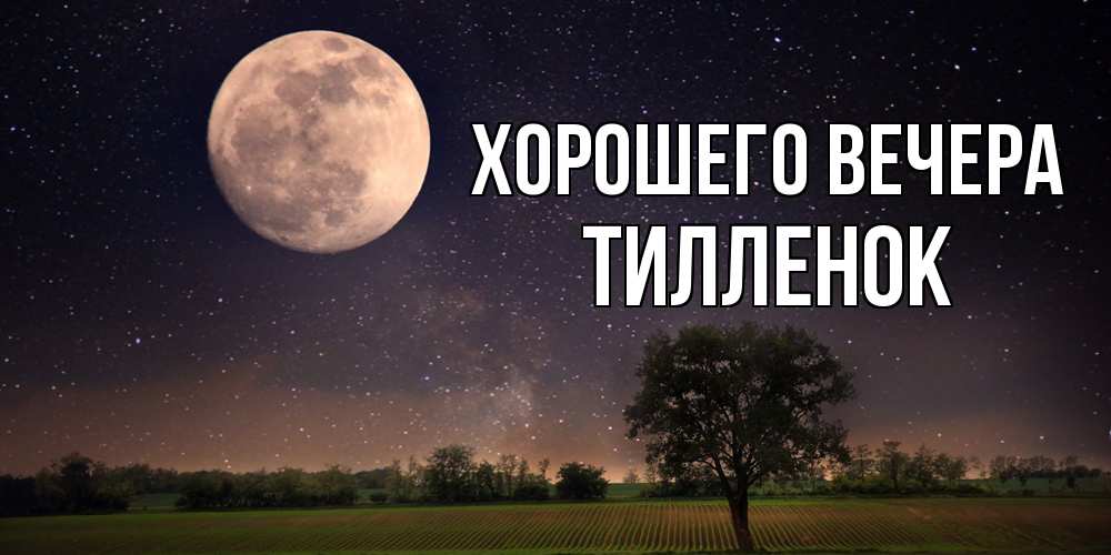 Открытка  для любимых и родных. тилленок, Хорошего вечера  