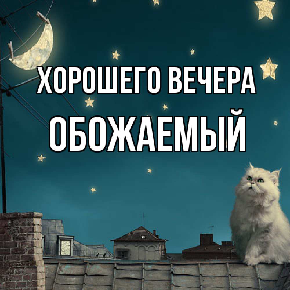 Картинка Хорошего вечера, обожаемый