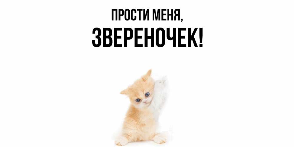 Открытка  для любимых и родных. звеpеночек, Прости меня  