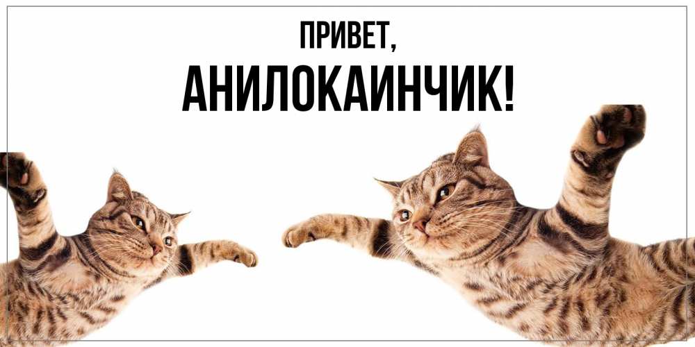 Открытка  для любимых и родных. анилокаинчик, Привет  