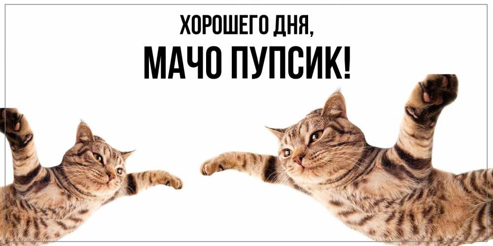 Открытка  для любимых и родных. мачо, Хорошего дня  