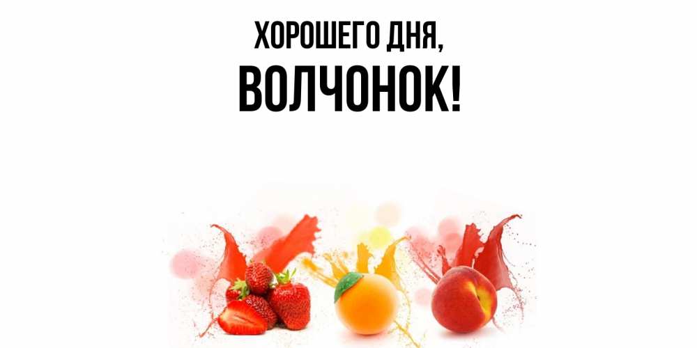 Открытка  для любимых и родных. волчонок, Хорошего дня  