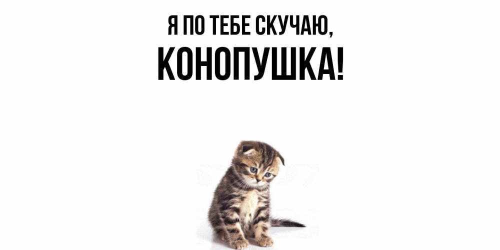 Открытка  для любимых и родных. конопушка, Я по тебе скучаю  