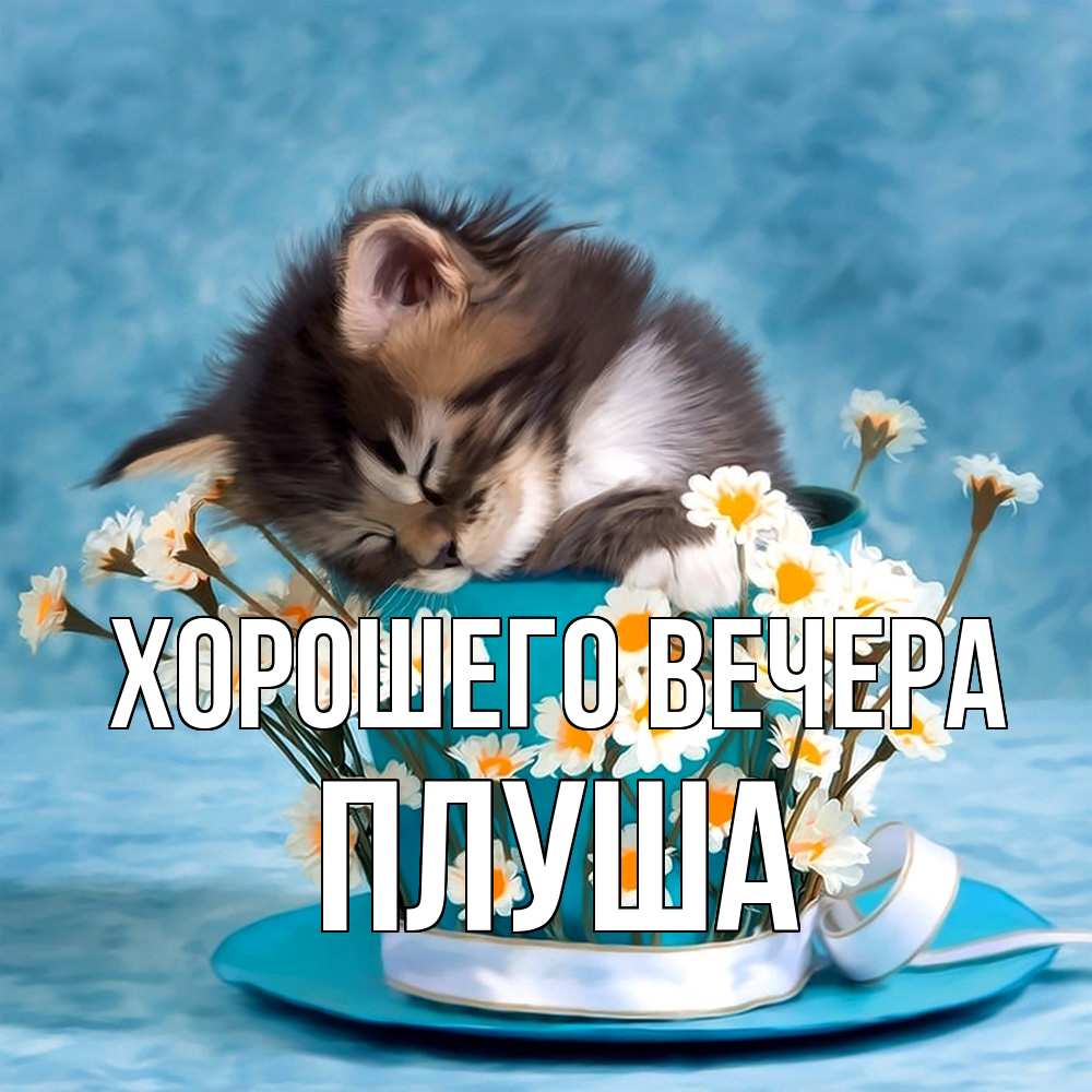 Картинка Хорошего вечера, плуша