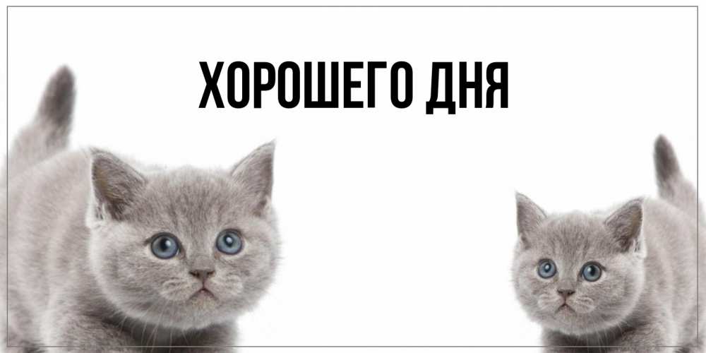 Открытка  для любимых и родных. выберите-описание, Хорошего дня  