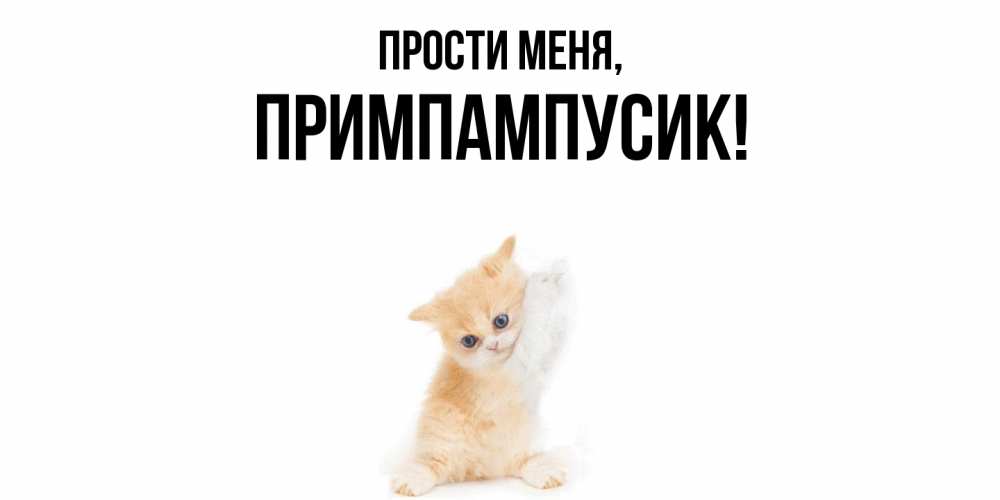 Открытка  для любимых и родных. примпампусик, Прости меня  