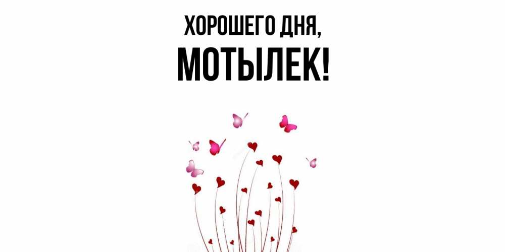 Открытка  для любимых и родных. мотылек, Хорошего дня  