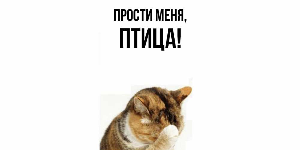Открытка с именем, птица, Прости меня