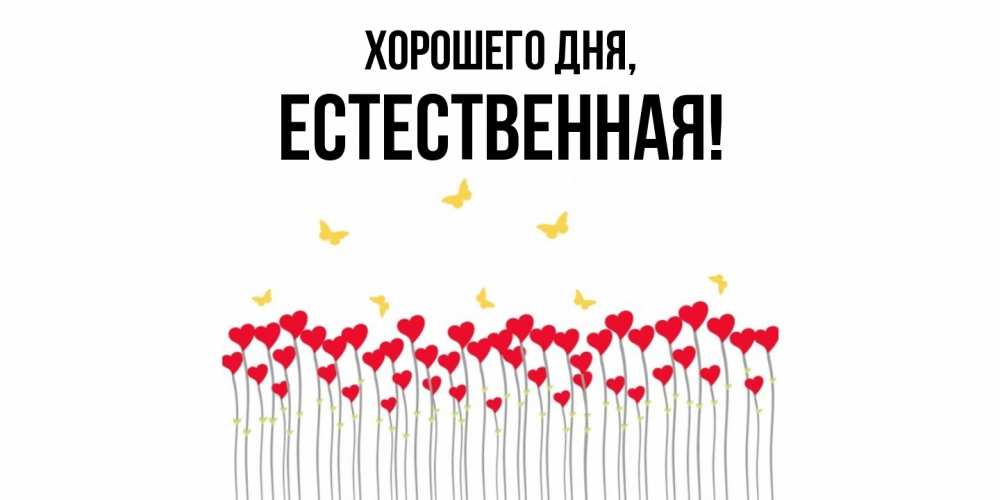 Открытка  для любимых и родных. естественная, Хорошего дня  