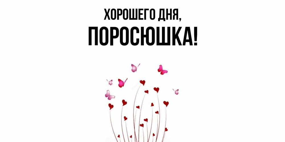 Открытка  для любимых и родных. поросюшка, Хорошего дня  