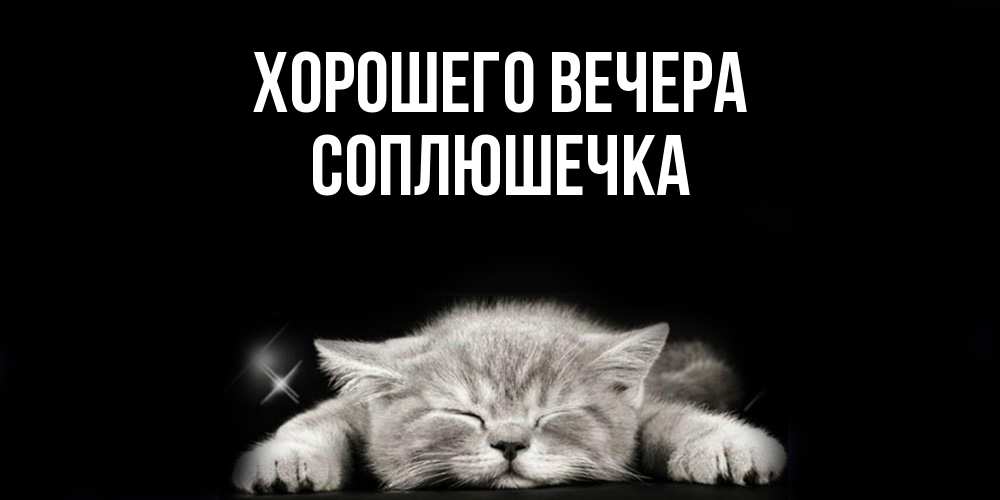 Открытка  для любимых и родных. соплюшечка, Хорошего вечера  