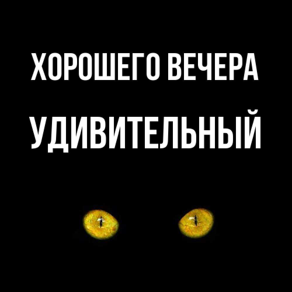 Открытка  для любимых и родных. удивительный, Хорошего вечера  