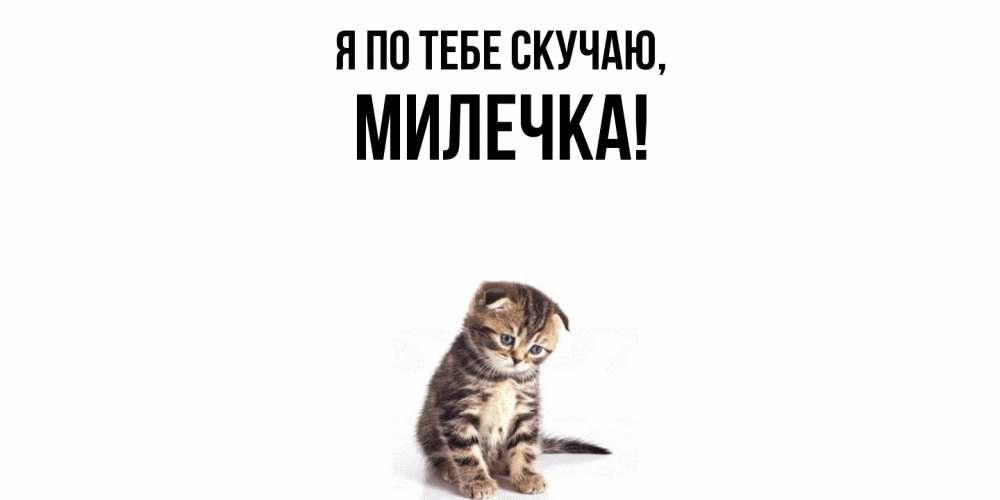 Открытка  для любимых и родных. милечка, Я по тебе скучаю  