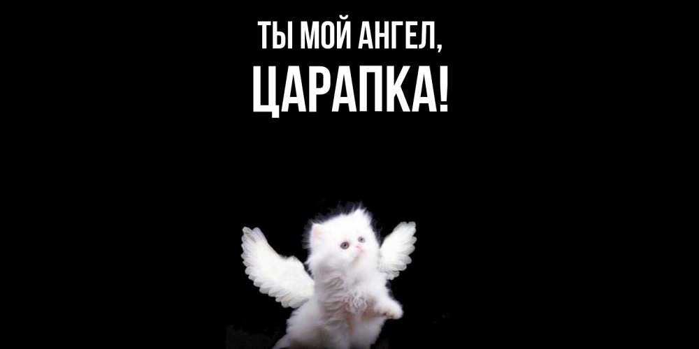 Открытка  для любимых и родных. царапка, Ты мой ангел  