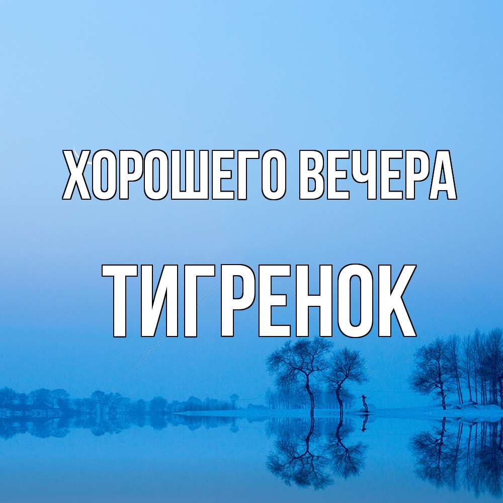 Открытка  для любимых и родных. Тигренок, Хорошего вечера  