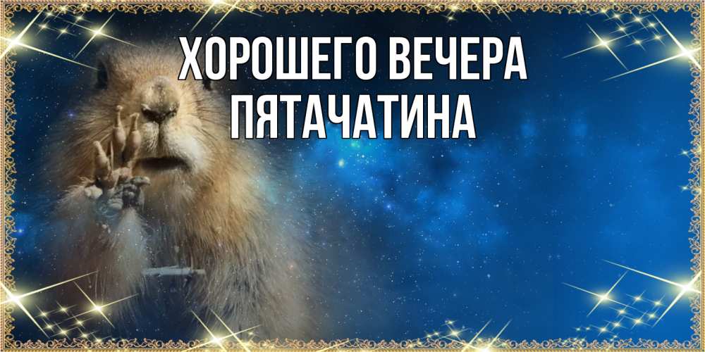 Открытка  для любимых и родных. пятачатина, Хорошего вечера  