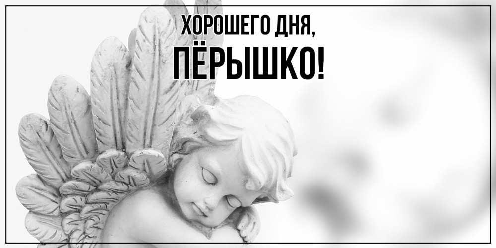 Открытка  для любимых и родных. пёрышко, Хорошего дня  