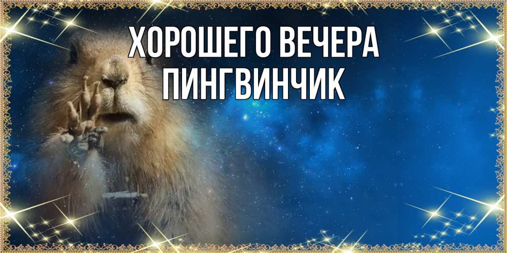 Открытка  для любимых и родных. пингвинчик, Хорошего вечера  