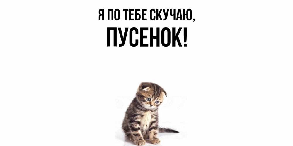 Открытка  для любимых и родных. пусенок, Я по тебе скучаю  