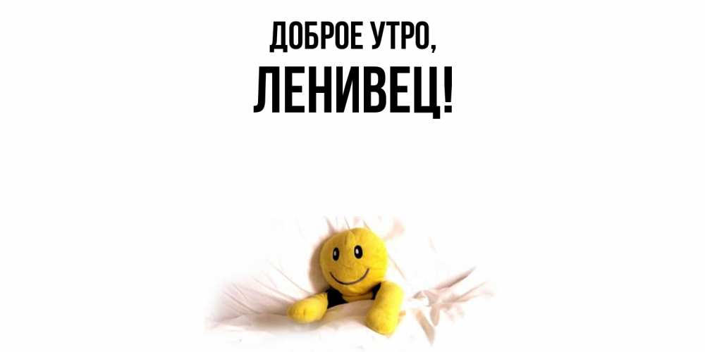 Картинка Доброе утро, ленивец