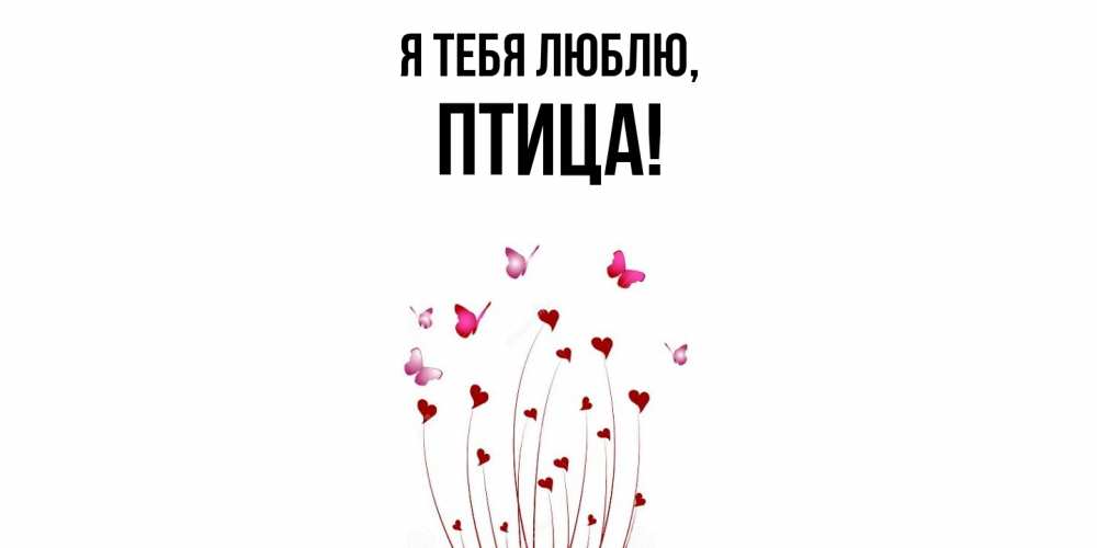 Картинка Я тебя люблю, птица