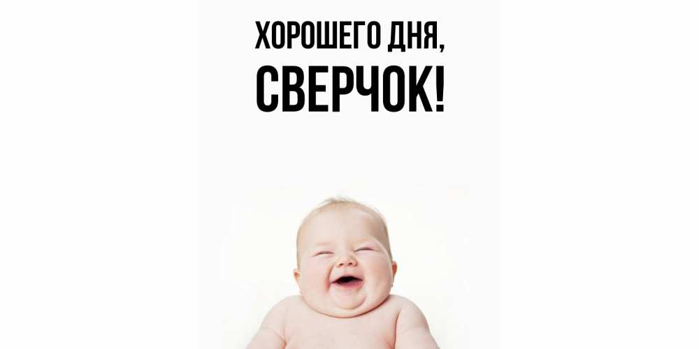 Открытка  для любимых и родных. сверчок, Хорошего дня  