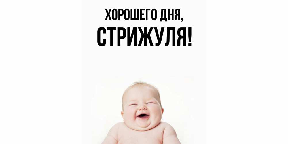 Открытка  для любимых и родных. стрижуля, Хорошего дня  