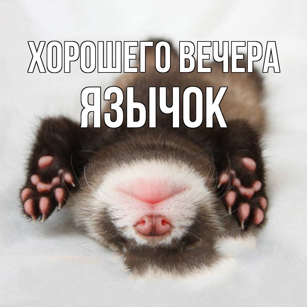 Открытка  для любимых и родных. язычок, Хорошего вечера  