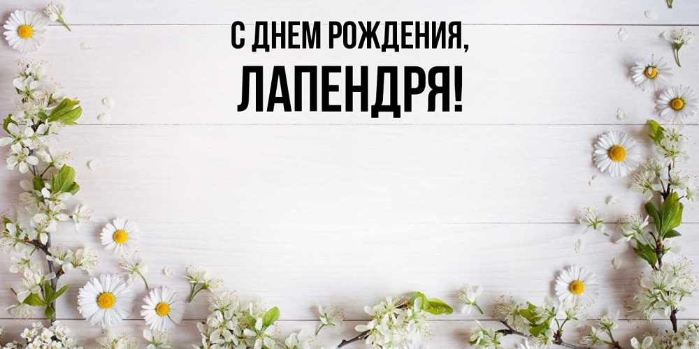 Открытка  для любимых и родных. лапендря, С днем рождения  