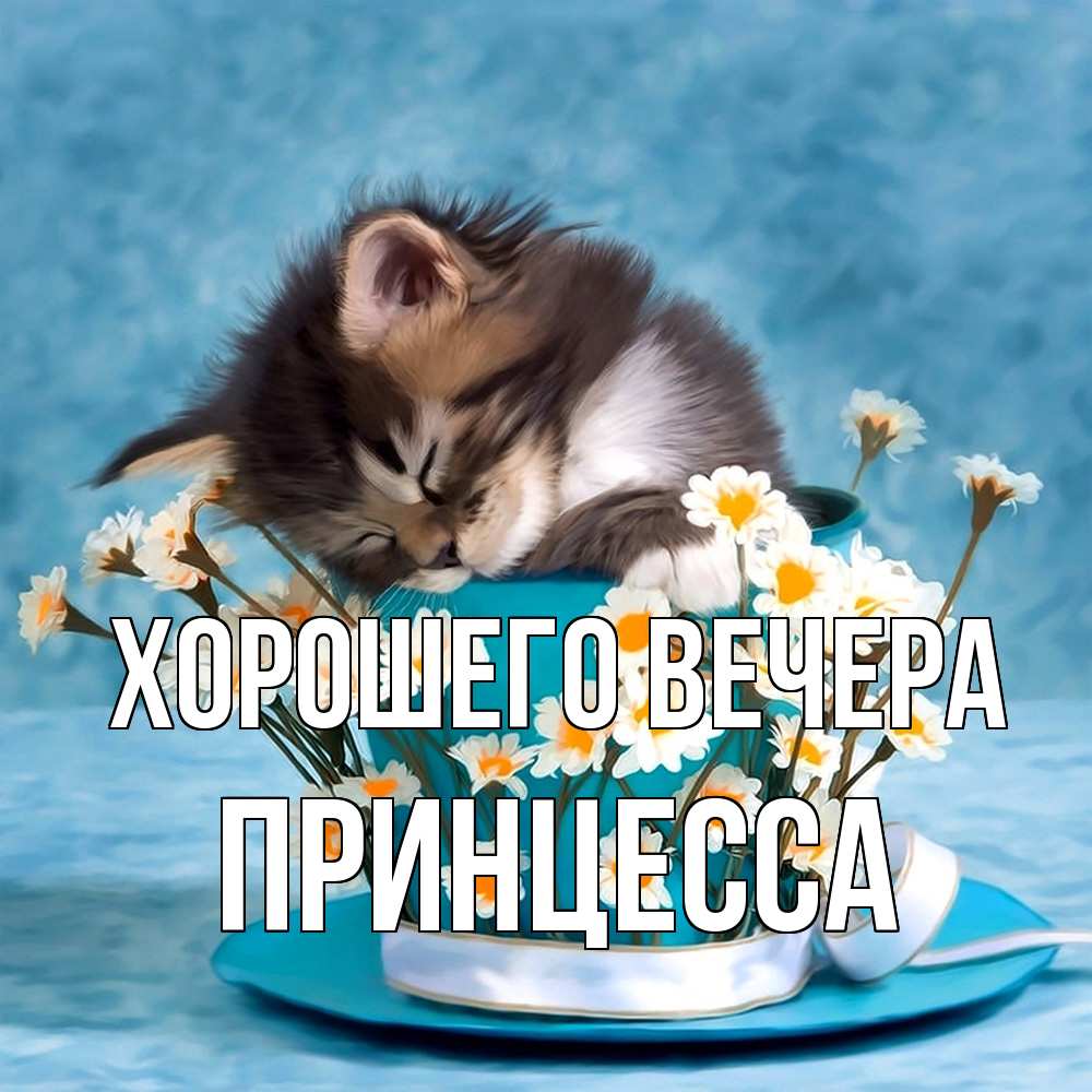 Картинка Хорошего вечера, принцесса