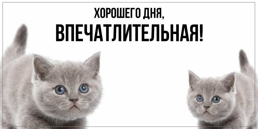 Картинка Хорошего дня, впечатлительная