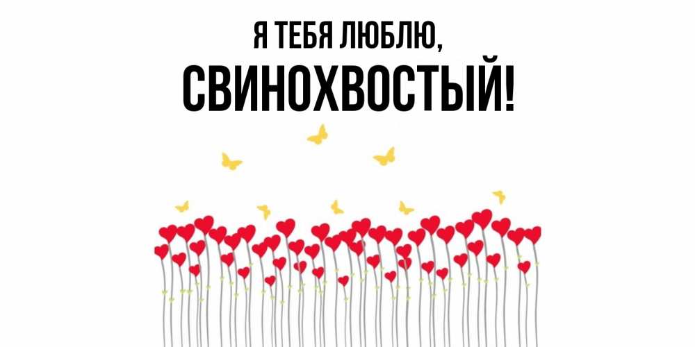 Открытка  для любимых и родных. свинохвостый, Я тебя люблю  