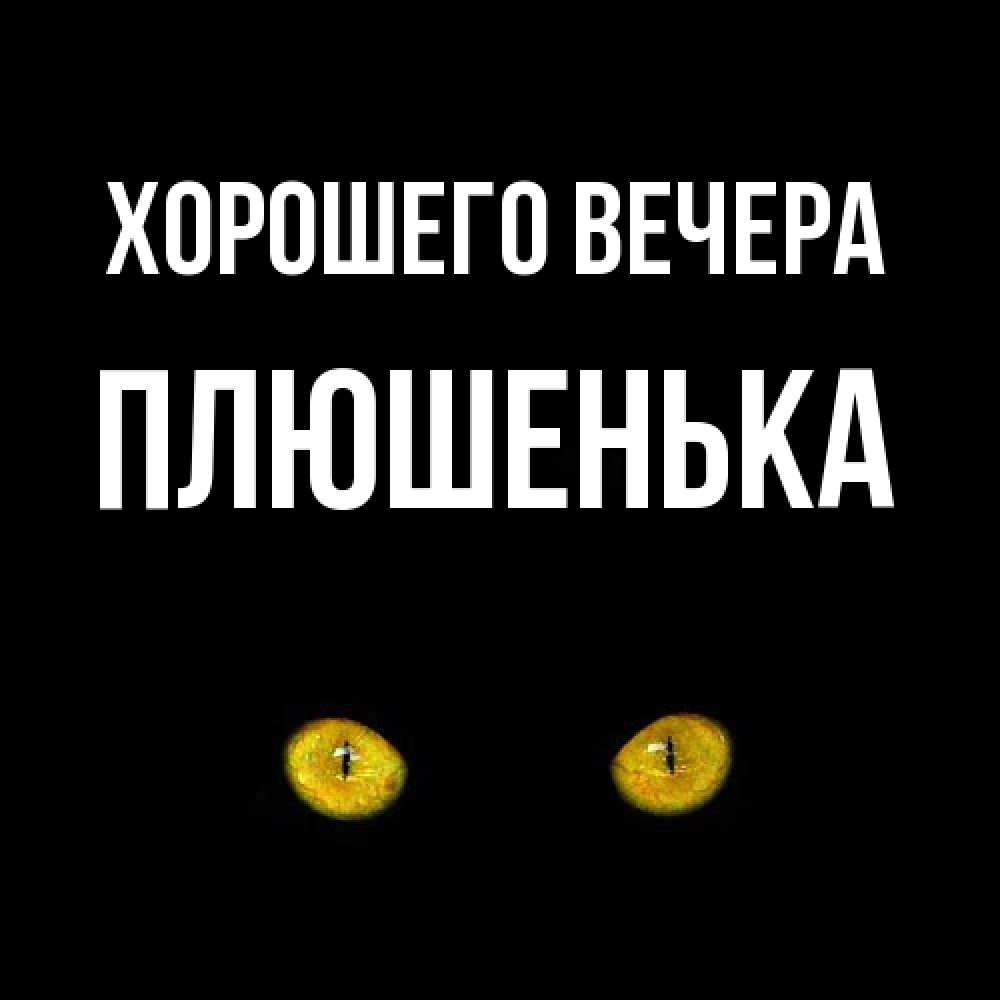 Открытка  для любимых и родных. плюшенька, Хорошего вечера  