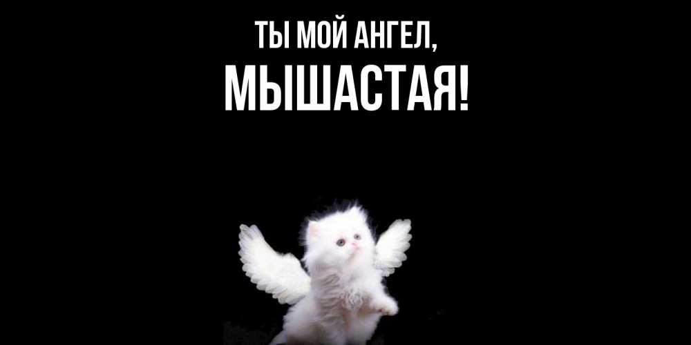 Картинка Ты мой ангел, мышастая