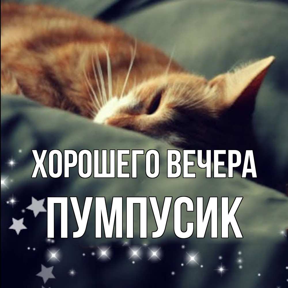 Картинка Хорошего вечера, пумпусик