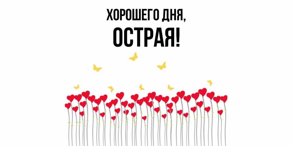 Открытка  для любимых и родных. острая, Хорошего дня  