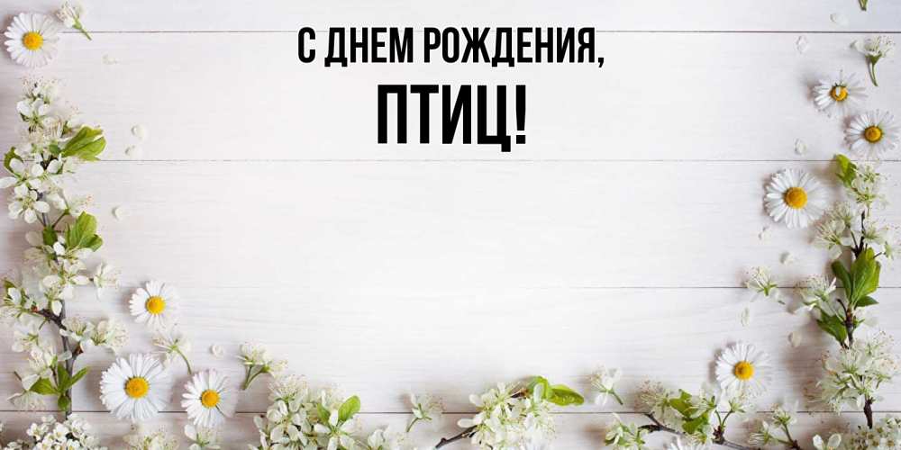 Открытка  для любимых и родных. птиц, С днем рождения  