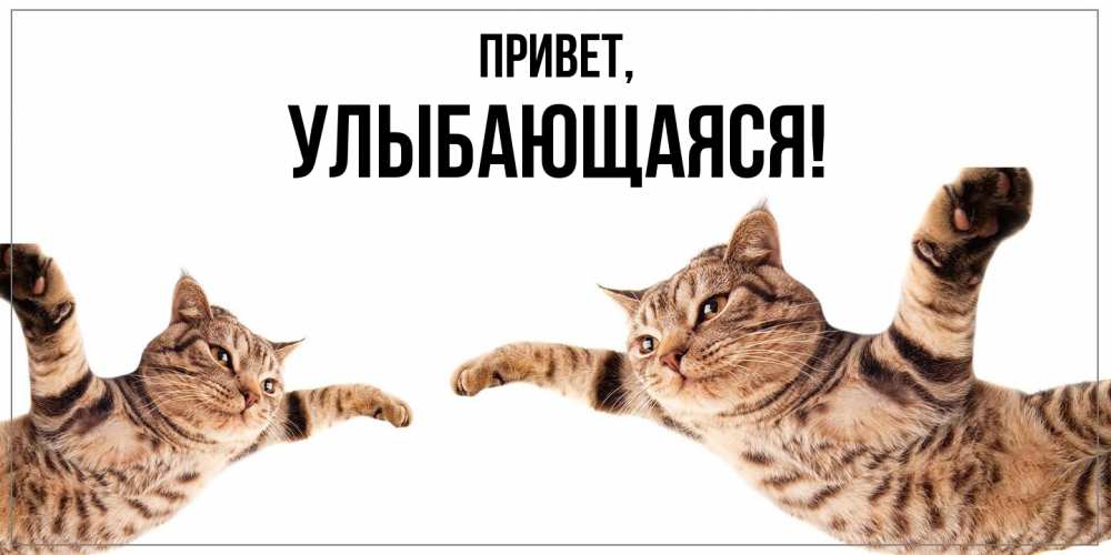 Открытка  для любимых и родных. улыбающаяся, Привет  