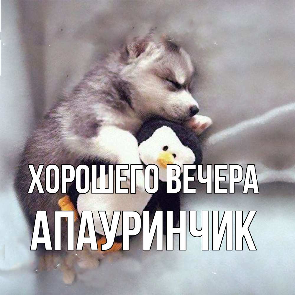 Открытка с именем, апауринчик, Хорошего вечера