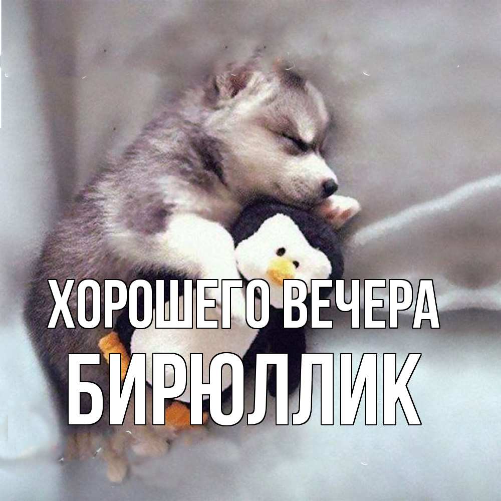 Открытка  для любимых и родных. бирюллик, Хорошего вечера  