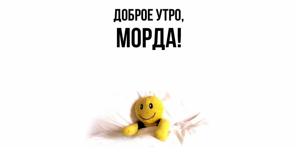 Открытка  для любимых и родных. морда, Доброе утро  