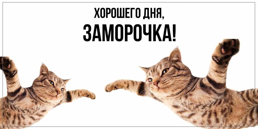 Открытка  для любимых и родных. заморочка, Хорошего дня  