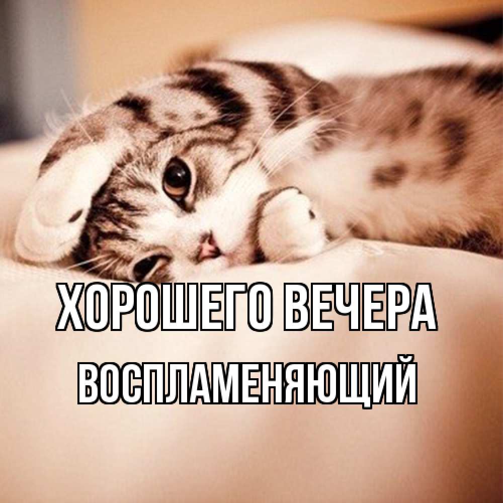 Открытка  для любимых и родных. воспламеняющий, Хорошего вечера  