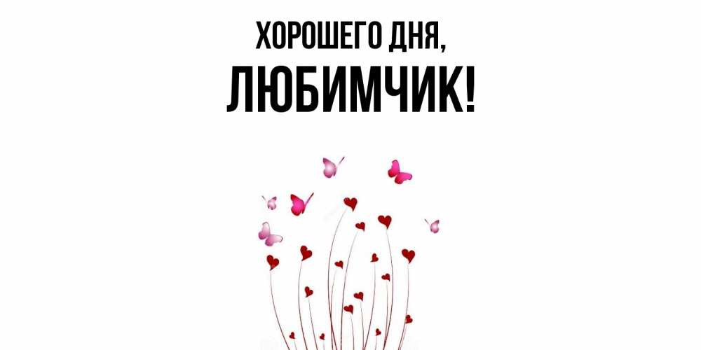 Открытка с именем, любимчик, Хорошего дня
