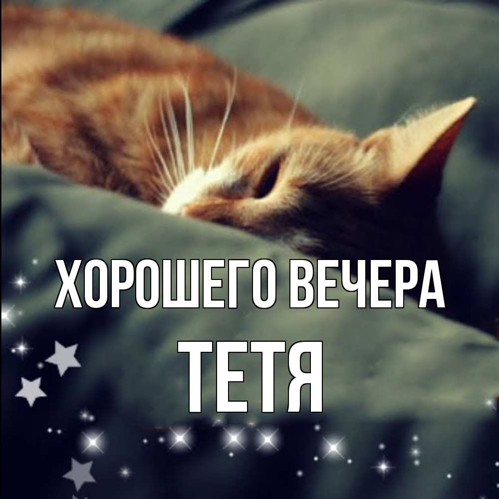 Открытка  для любимых и родных. Тетя, Хорошего вечера  
